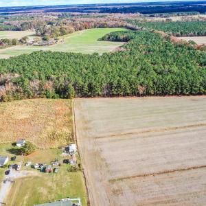 Photo #10 of SOLD property in Off Schoolhouse Rd, Elizabeth City, NC 15.8 acres