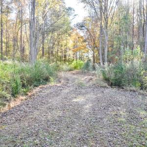 Photo #4 of SOLD property in Off Schoolhouse Rd, Elizabeth City, NC 15.8 acres