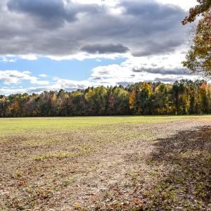 Photo #5 of SOLD property in Off Schoolhouse Rd, Elizabeth City, NC 15.8 acres