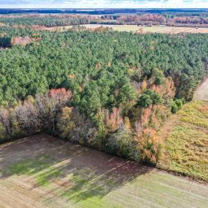 Photo #7 of SOLD property in Off Schoolhouse Rd, Elizabeth City, NC 15.8 acres