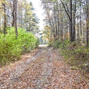 Photo #9 of SOLD property in Off Schoolhouse Rd, Elizabeth City, NC 15.8 acres
