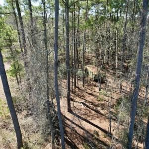 Photo #13 of Off Ward Town Road S, Whiteville, NC 1.0 acres