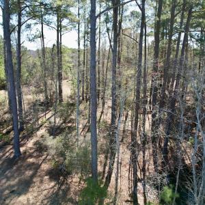 Photo #16 of Off Ward Town Road S, Whiteville, NC 1.0 acres