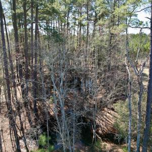 Photo #17 of Off Ward Town Road S, Whiteville, NC 1.0 acres