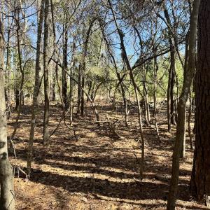Photo #20 of Off Ward Town Road S, Whiteville, NC 1.0 acres