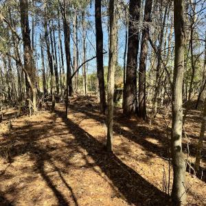 Photo #21 of Off Ward Town Road S, Whiteville, NC 1.0 acres