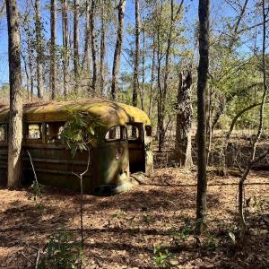 Photo #23 of Off Ward Town Road S, Whiteville, NC 1.0 acres
