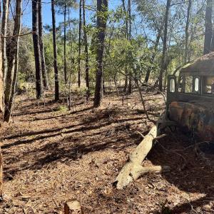 Photo #25 of Off Ward Town Road S, Whiteville, NC 1.0 acres