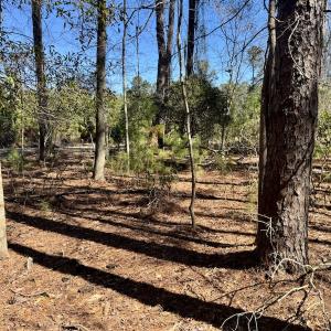 Photo #26 of Off Ward Town Road S, Whiteville, NC 1.0 acres
