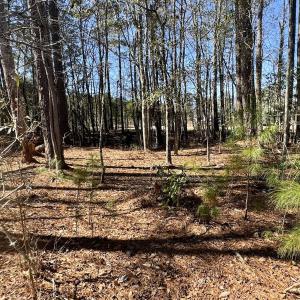 Photo #27 of Off Ward Town Road S, Whiteville, NC 1.0 acres
