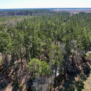 Photo #4 of Off Ward Town Road S, Whiteville, NC 1.0 acres