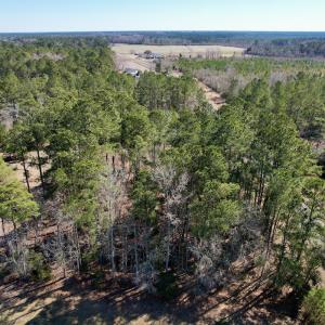 Photo #5 of Off Ward Town Road S, Whiteville, NC 1.0 acres