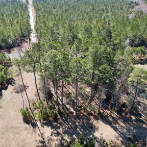 Photo #6 of Off Ward Town Road S, Whiteville, NC 1.0 acres