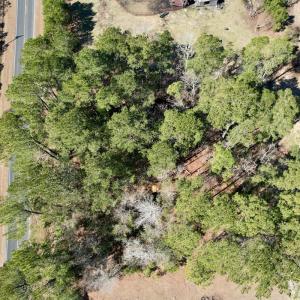 Photo #9 of Off Ward Town Road S, Whiteville, NC 1.0 acres