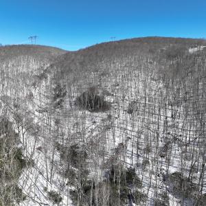 Photo #13 of Off Buckhorn Mt Ln, Rocky Gap, VA 64.0 acres