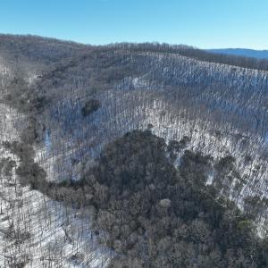 Photo #15 of Off Buckhorn Mt Ln, Rocky Gap, VA 64.0 acres