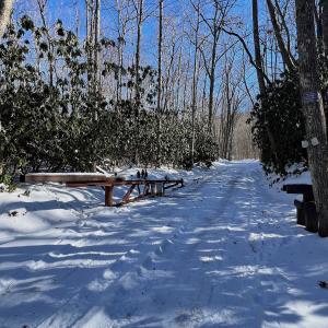 Photo #3 of Off Buckhorn Mt Ln, Rocky Gap, VA 64.0 acres