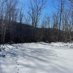 Photo #5 of Off Buckhorn Mt Ln, Rocky Gap, VA 64.0 acres