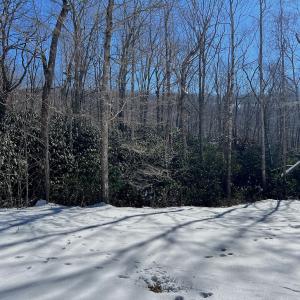 Photo #7 of Off Buckhorn Mt Ln, Rocky Gap, VA 64.0 acres