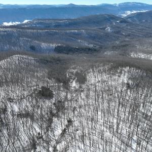 Photo #8 of Off Buckhorn Mt Ln, Rocky Gap, VA 64.0 acres