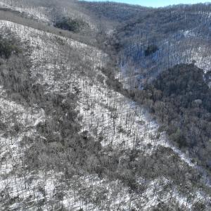Photo #10 of Off Buckhorn Mt Ln, Rocky Gap, VA 64.0 acres