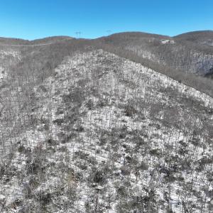 Photo #28 of Off Buckhorn Mt Ln, Rocky Gap, VA 64.0 acres