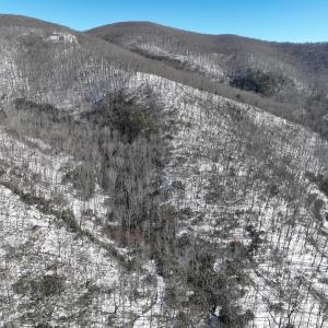Photo #31 of Off Buckhorn Mt Ln, Rocky Gap, VA 64.0 acres