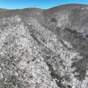 Photo #32 of Off Buckhorn Mt Ln, Rocky Gap, VA 64.0 acres