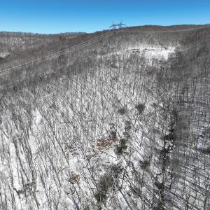 Photo #33 of Off Buckhorn Mt Ln, Rocky Gap, VA 64.0 acres