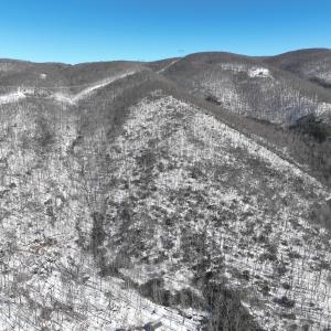 Photo #36 of Off Buckhorn Mt Ln, Rocky Gap, VA 64.0 acres
