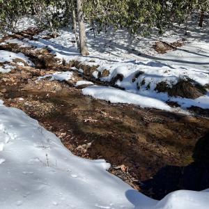 Photo #37 of Off Buckhorn Mt Ln, Rocky Gap, VA 64.0 acres