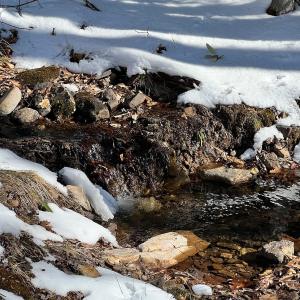 Photo #38 of Off Buckhorn Mt Ln, Rocky Gap, VA 64.0 acres