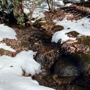Photo #39 of Off Buckhorn Mt Ln, Rocky Gap, VA 64.0 acres