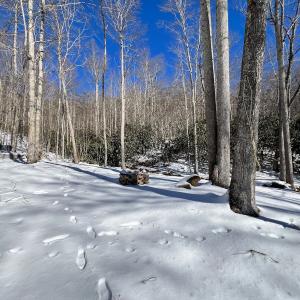 Photo #40 of Off Buckhorn Mt Ln, Rocky Gap, VA 64.0 acres