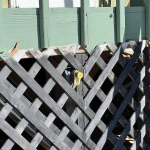 Photo #46 of Off Buckhorn Mt Ln, Rocky Gap, VA 64.0 acres
