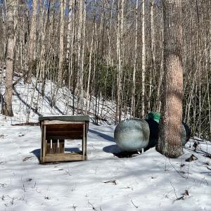 Photo #48 of Off Buckhorn Mt Ln, Rocky Gap, VA 64.0 acres