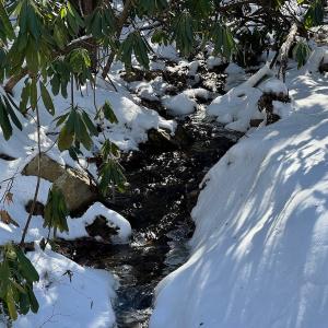 Photo #54 of Off Buckhorn Mt Ln, Rocky Gap, VA 64.0 acres
