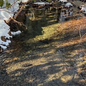 Photo #55 of Off Buckhorn Mt Ln, Rocky Gap, VA 64.0 acres