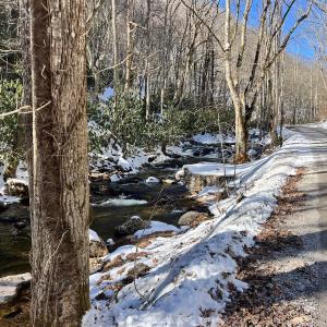 Photo #57 of Off Buckhorn Mt Ln, Rocky Gap, VA 64.0 acres