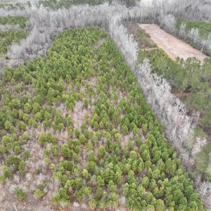 Photo #1 of Off of Creek Road, Jamesville, NC 42.0 acres
