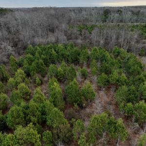Photo #10 of Off of Creek Road, Jamesville, NC 42.0 acres