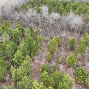 Photo #11 of Off of Creek Road, Jamesville, NC 42.0 acres