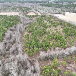 Photo #12 of Off of Creek Road, Jamesville, NC 42.0 acres