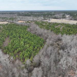 Photo #15 of Off of Creek Road, Jamesville, NC 42.0 acres