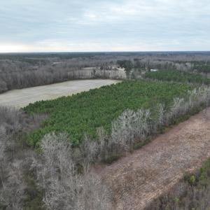 Photo #16 of Off of Creek Road, Jamesville, NC 42.0 acres