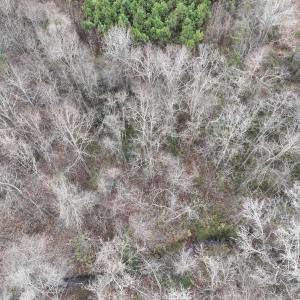 Photo #17 of Off of Creek Road, Jamesville, NC 42.0 acres