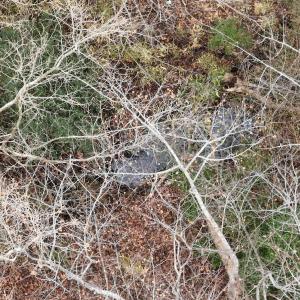 Photo #18 of Off of Creek Road, Jamesville, NC 42.0 acres