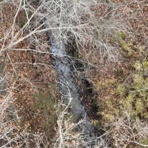 Photo #19 of Off of Creek Road, Jamesville, NC 42.0 acres
