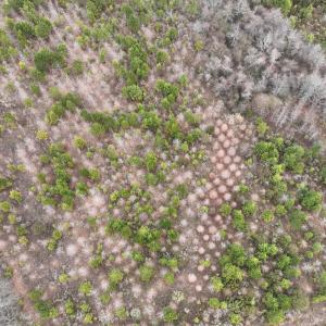Photo #5 of Off of Creek Road, Jamesville, NC 42.0 acres