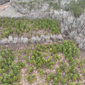 Photo #6 of Off of Creek Road, Jamesville, NC 42.0 acres